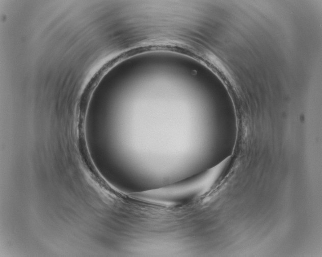 X0000088711124200705311351