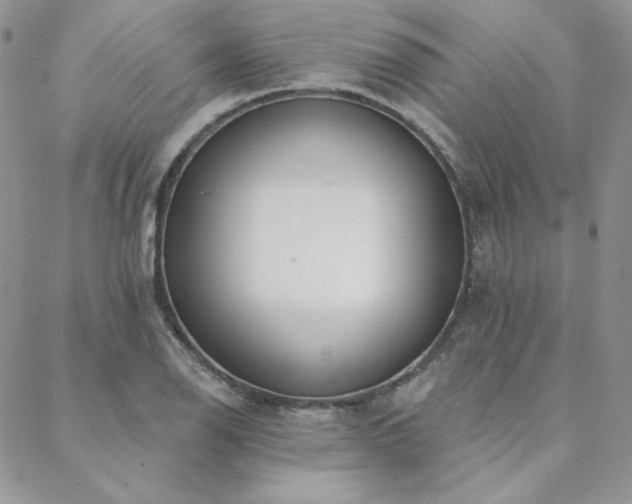X0000088711126200705311351