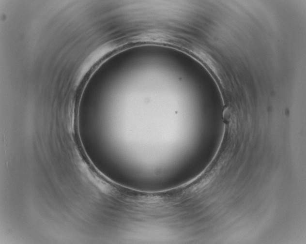 X0000088711131200705311351