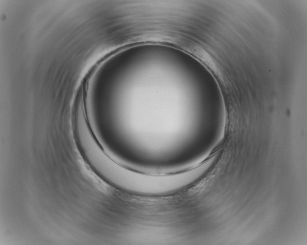 X0000088711132200705311351