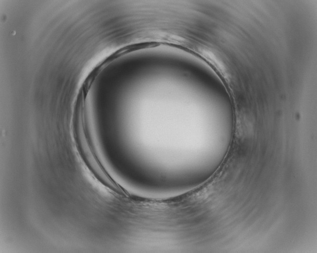 X0000088711136200705311351