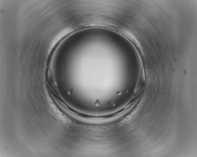 X0000088711138200705311351