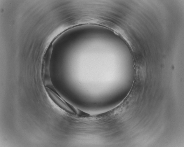 X0000088711143200705311351