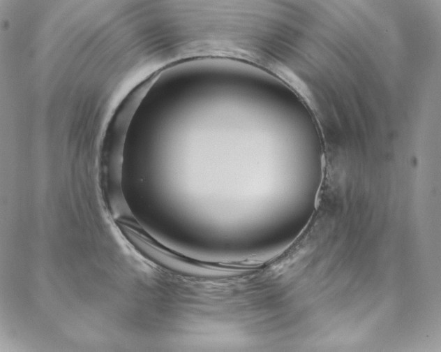 X0000088711144200705311351
