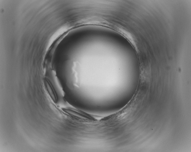 X0000088711146200705311351