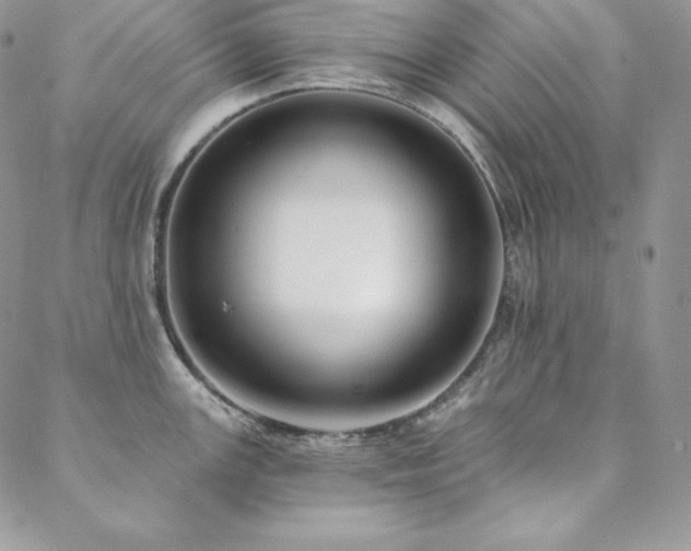 X0000088711147200705311351