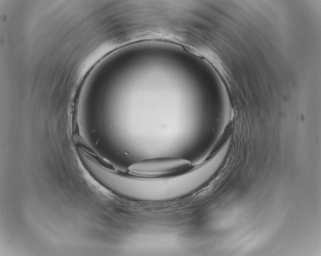 X0000088711151200705311351