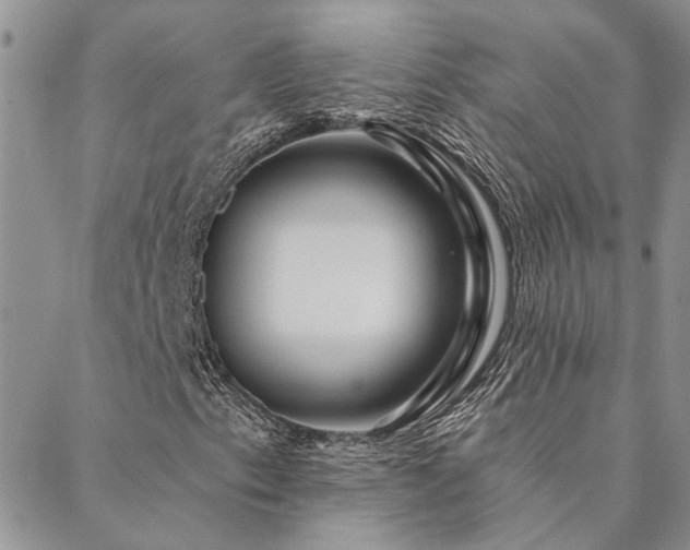 X0000088711153200705311351