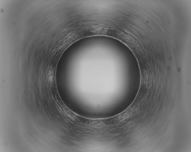X0000088711154200705311351