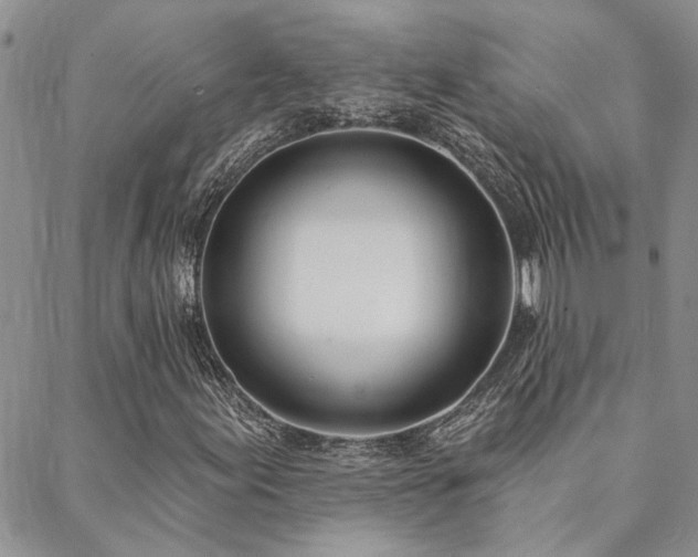X0000088711155200705311350