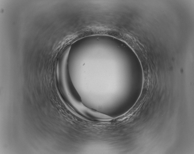 X0000088711157200705311350