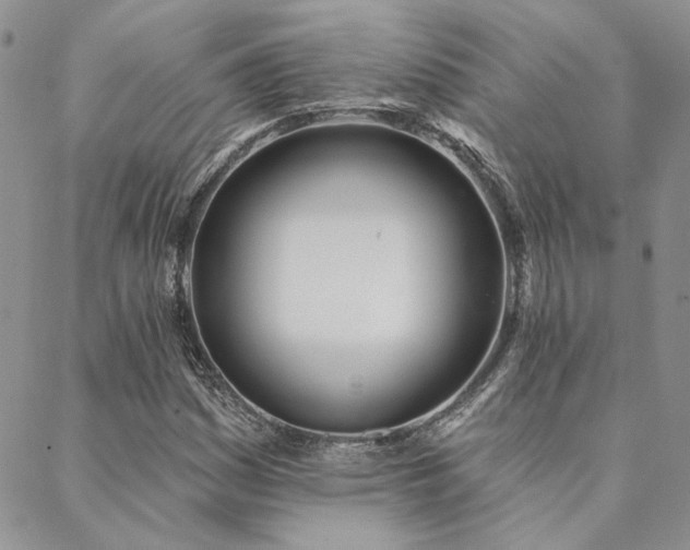 X0000088711161200705311350