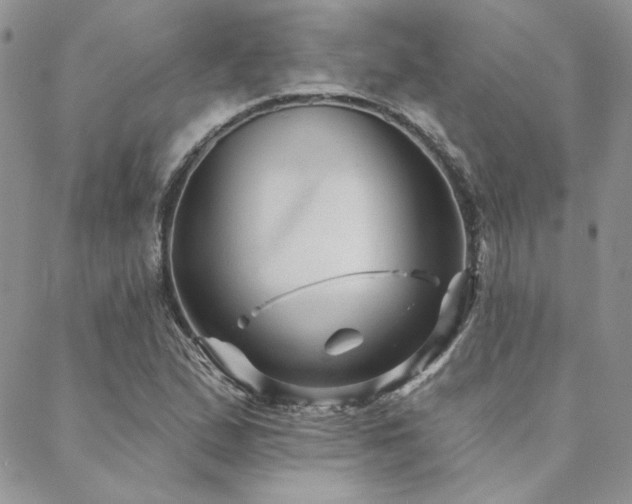 X0000088711167200705311350