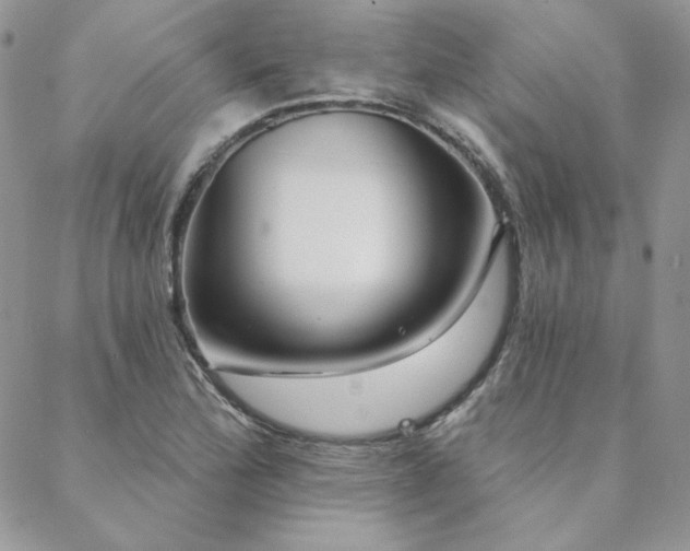X0000088711172200705311350