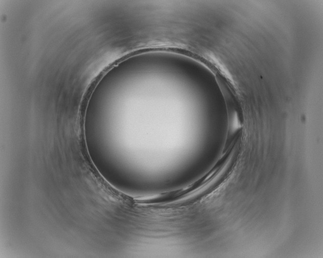 X0000088711173200705311350