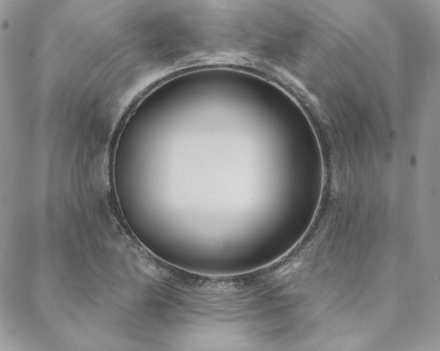 X0000088711174200705311350