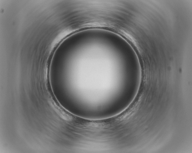 X0000088711179200705311350