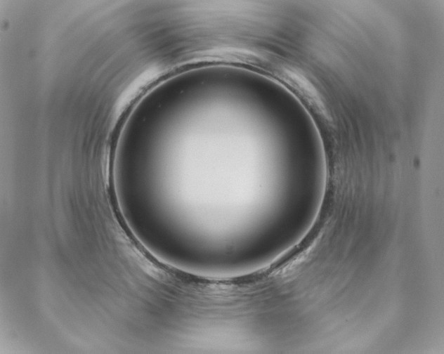 X0000088711180200705311350