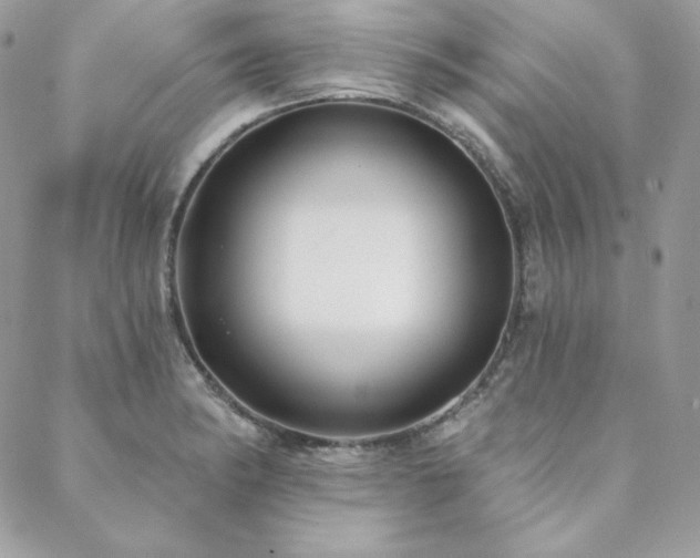 X0000088711182200705311350