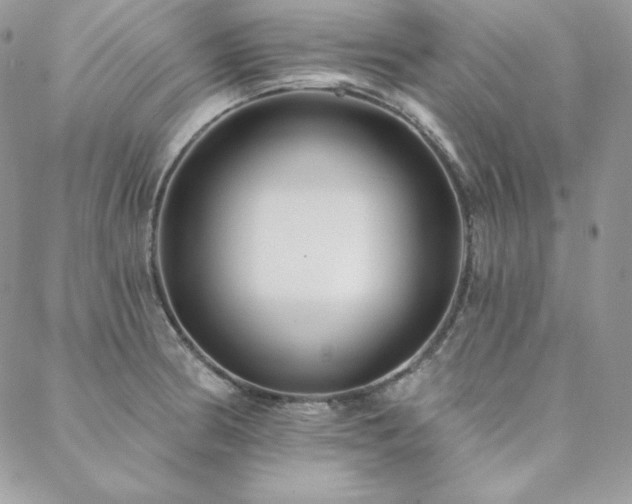 X0000088711186200705311350