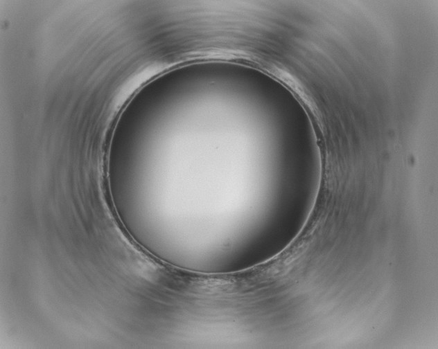X0000088711187200705311350