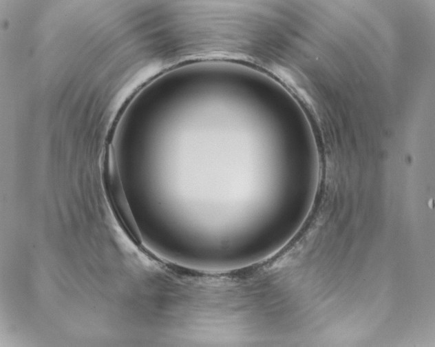 X0000088711189200705311350