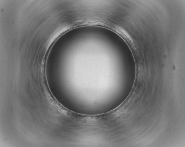 X0000088711190200705311350