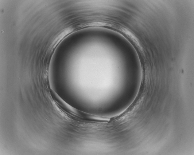 X0000088711193200705311350