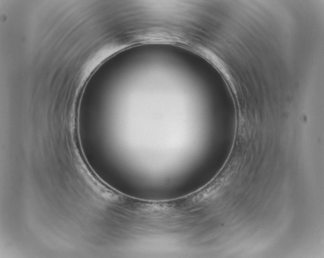 X0000088711195200705311350