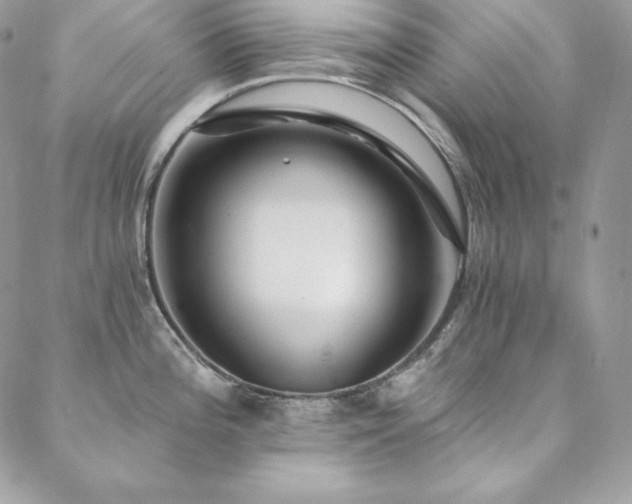 X0000088711196200705311350