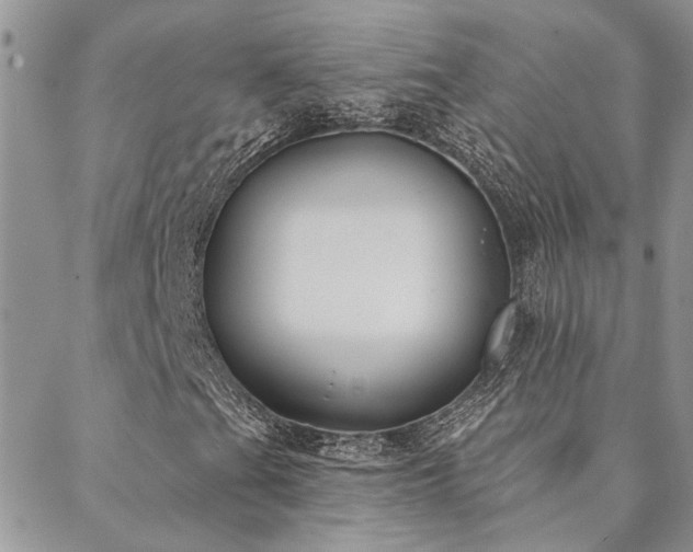 X0000088711201200705311349