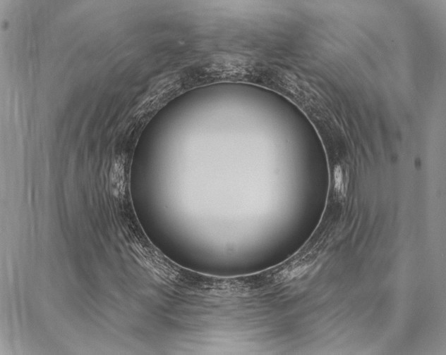 X0000088711203200705311349