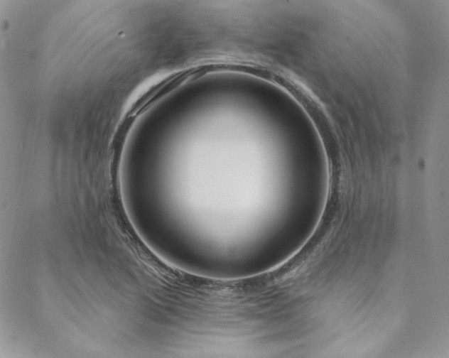 X0000088711222200705311349