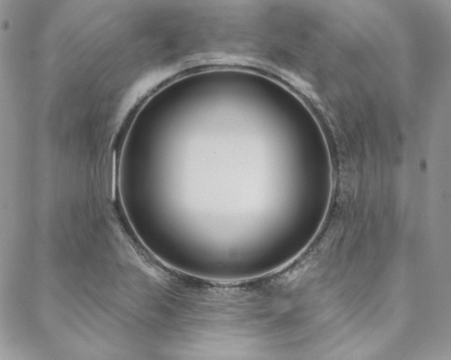 X0000088711223200705311349
