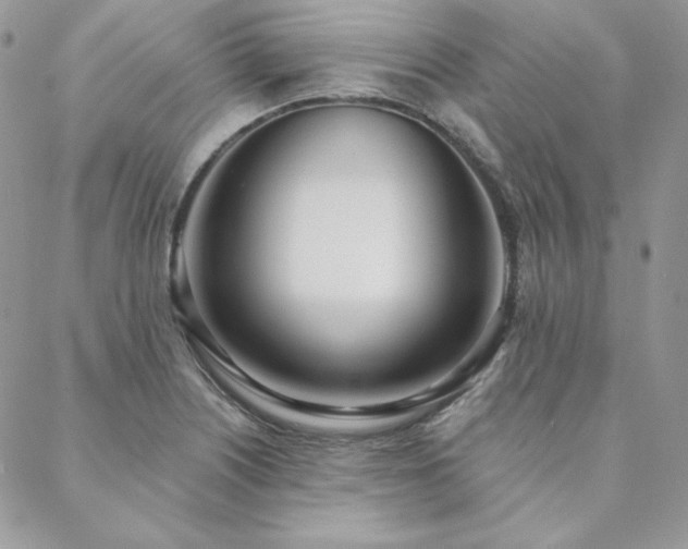 X0000088711226200705311349