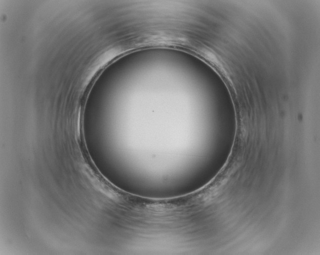 X0000088711227200705311349