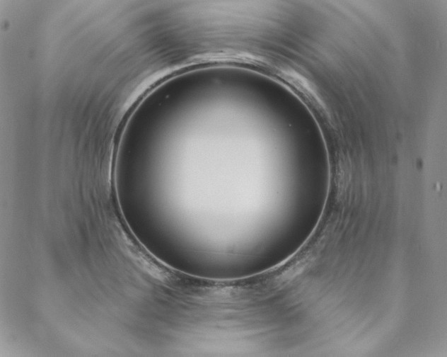 X0000088711228200705311349