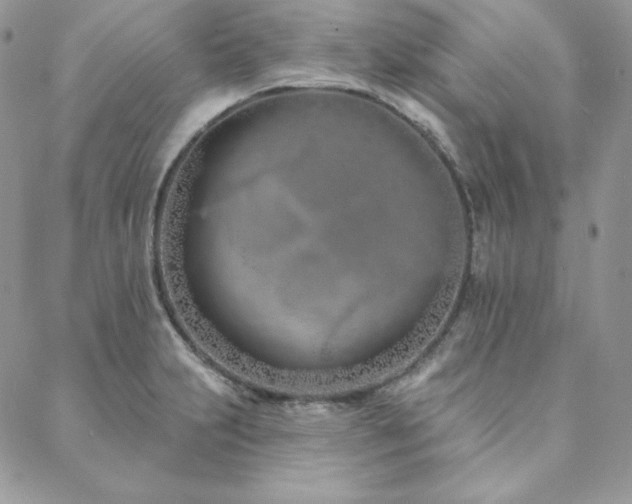 X0000088711231200705311349