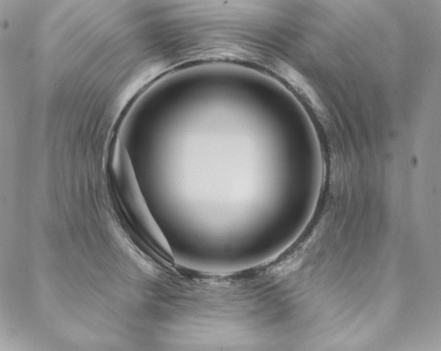 X0000088711234200705311350