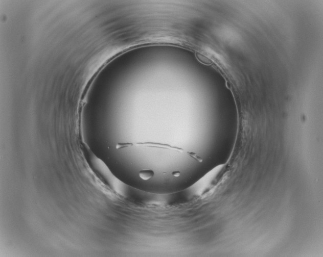 X0000088711236200705311350