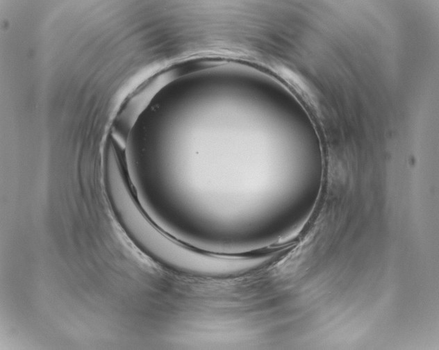 X0000088711238200705311350