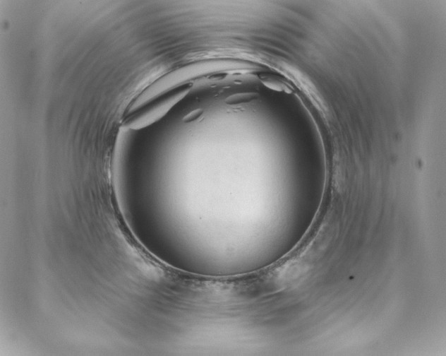 X0000088711241200705311350