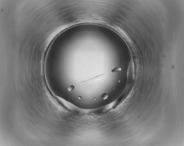 X0000088711246200705311350
