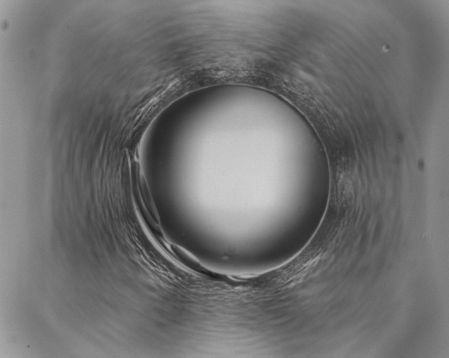 X0000088711250200705311349