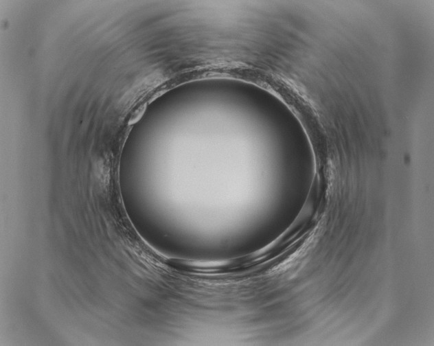 X0000088711257200705311349
