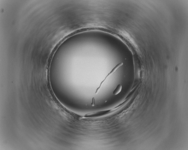 X0000088711268200705311349