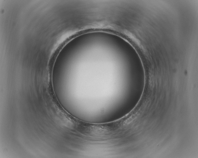 X0000088711270200705311349