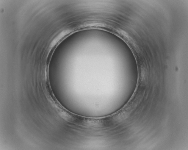 X0000088711274200705311349