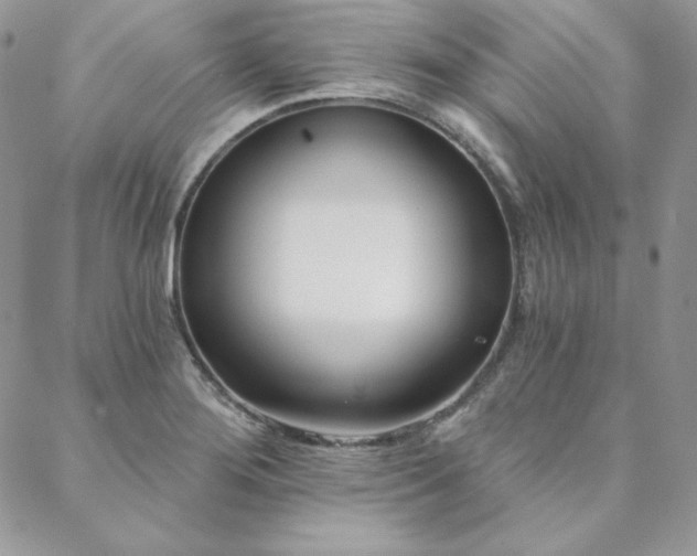 X0000088711276200705311349