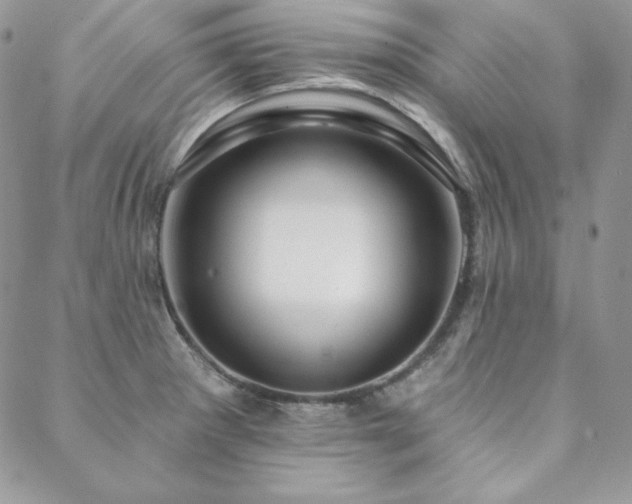 X0000088711281200705311348